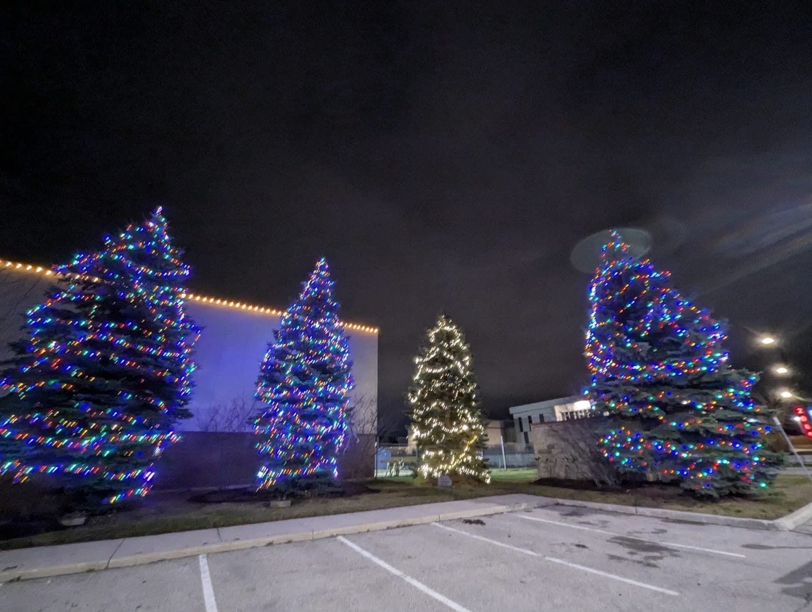 Commercial parking-lot display of evergreen trees wrapped in colourful Christmas lights at night